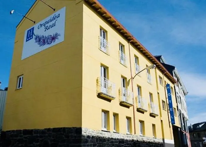 Orquidea Real Вильяблино